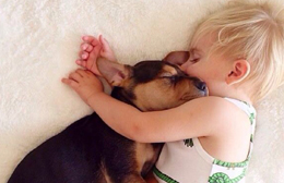 Accogliere un animale domestico in famiglia…