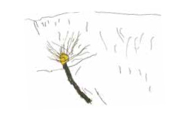 disegno20-04.jpg