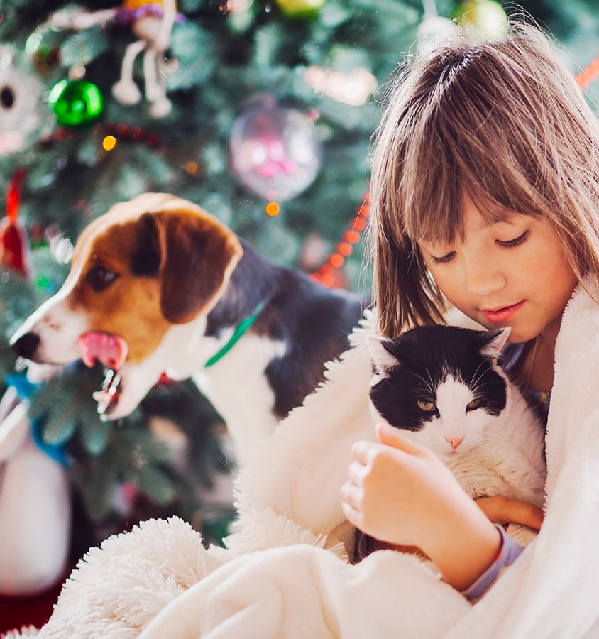 E se Babbo Natale porta in dono al nostro bambino un amico animale?