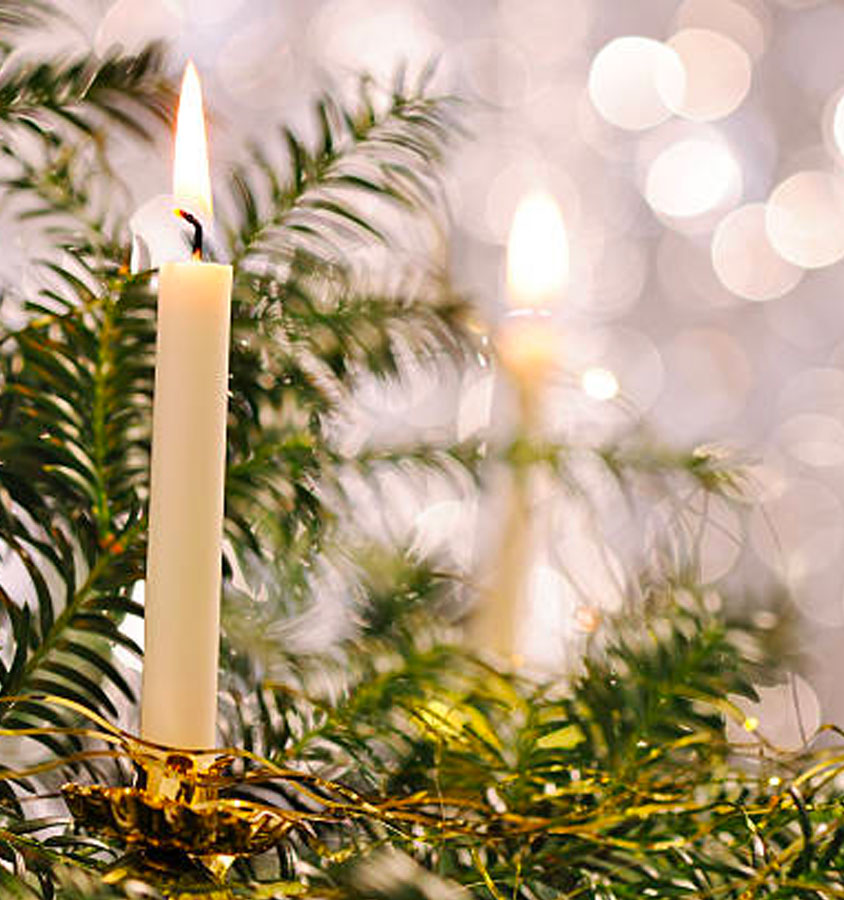 Conosci la vera storia dell’albero di Natale? Scoprilo fra leggende e creatività