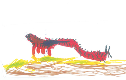 disegno_003.jpg