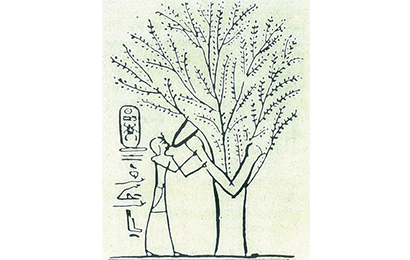 disegno_mag2019_6.jpg