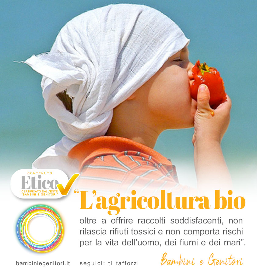 Una corretta alimentazione passa anche attraverso il biologico? Pro e contro
