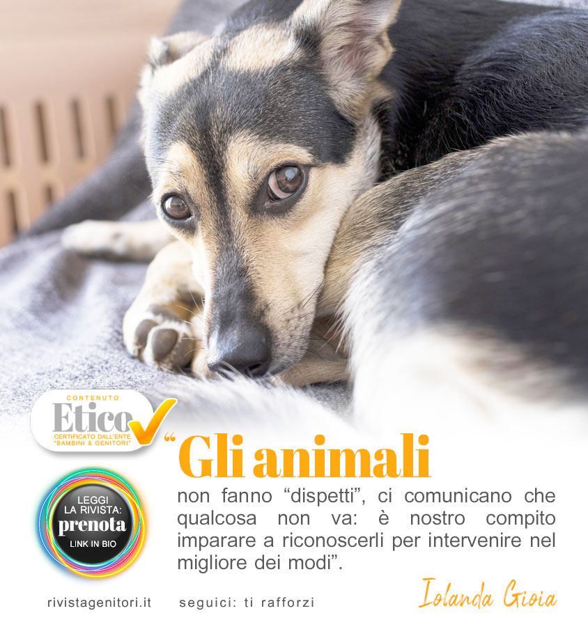 Anche i nostri animali provano ansia e stress? Come possiamo insegnare ai figli a rispettare i loro bisogni?